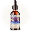 Motherlove Goat’s Rue (2 oz Liquid) | Lactation Supplement for Breast Milk Supply Support—Organic, Vegan, Kosher