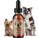 MycoDog Vitality - 20-in-1 Mushroom & Adaptogen Supplement for Dogs - Immune Health, Senior Dog, & Daily Wellness Support - Turkey Tail Mushroom for Dogs, Reishi, Chaga