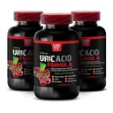 Uric Acid Supplement - URIC ACID FORMULA - Milk Thistle for Uric Acid Elimination, Herbal Uric Acid Control, Uric Acid Detoxification, Green Coffee Bean for Uric Acid Detox, Uric Acid 3 Bottles