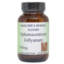 Barlowe's Herbal Elixirs Sphenocentrum Jollyanum Root Powder | 500mg Per Capsule | Tradtional African Herb | 60 Vegan Capsules | Stearate-Free | Bottled in Glass