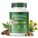 Rhodiola Rosea Extract 500mg – Adaptogen for Stress Support, Energy & Focus – Standardized Rhodiola Root Extract – Vegan, Non-GMO, 60 Capsules