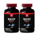 Watermelon Powder - WATER AWAY - Cornsilk Powder, Dandelion Leaf, Green Tea Leaf, Paprika Powder, Apple Cider Vinegar, Cranberry Powder in a thoughtfully crafted blend 2 Bottles 120 Capsules