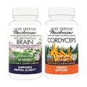 Host Defense Bundle with MycoBotanicals Brain* Capsules, 60 Count & Cordyceps Capsules, 60 Count - Support Memory & Focus - Support Immune Health & Energy*