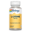 SOLARAY L Lysine 500 mg Capsules - Free-Form Essential Amino Acids Supplement - Powerful Wellness Support with L-Lysine Amino Acid - Lab Verified, 60-Day Guarantee, 60 Servings, 60 VegCaps