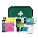 Lewist Plast First Aid Kit for 1 Person Small Green Bag with Plasters Dressings Gloves and Instructions Ideal for Home Car Holiday Work HSE Compliant