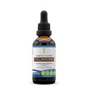 Secrets of the Tribe Collinsonia Tincture Alcohol-Free Extract, Wildcrafted Stoneroot (Collinsonia Canadensis) Dried Root Tincture Supplement (2 FL OZ)