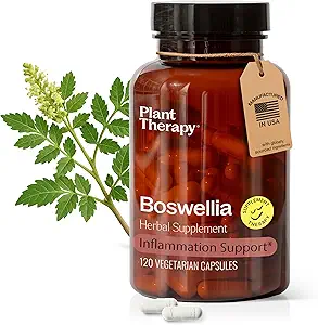 Plant Therapy Boswellia Extract Capsules Manufactured in USA 4 Month Supply Supports Joint Flexibility, Comfort, Soothes Discomfort and Healthy Skin Supplements for Women & Men 120 Vegetarian Capsules