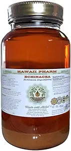 Echinacea Alcohol-Free Liquid Extract, Echinacea (Echinacea Angustifolia) Dried Root Glycerite Hawaii Pharm Natural Herbal Supplement 32 oz Unfiltered