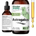 Astragalus Root Drops for Dogs - Immune Support - 4 fl oz | Alcohol-free, no added sugar, no artificial additives, flavors or colors; pure formula