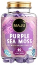 MAJU's Powerful Purple Sea Moss Capsules (60 ct), Extra-Strength Purple Minerals, Chondrus Crispus, Stronger Than Gel, Compare to Organic Irish Seamoss Capsule, Wild Harvested Powder Pills