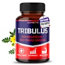 Tribulus Terrestris 98% Saponins - Enhanced 12-in-1 Formula with Yohimbine, Red Panax Ginseng, Ashwagandha for Boosting Energy, Stamina & Endurance*
