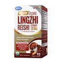 LABO Nutrition Bioactive Organic Lingzhi Reishi Ultra 7 Mushroom Extract Supplement Reishi Cordyceps Maitake Turkey Tail Agaricus blazei Murill Shiitake for Immune Support, Vitality, USDA Organic