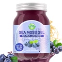 Sea Moss Gel, 18.5OZ Raw Flavored Irish Seamoss Gel Immune and Digestive Support Vitamin Mineral Supplements, Blueberry
