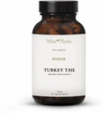 Turkey Tail Mushroom Supplement. Dual Extract, Pure Fruiting Body, 30% Polysaccharides, 500 mg, 120 vegecaps (60-Day Supply). Can Support Healthy Immune Function