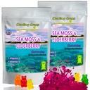 Irish Sea Moss Gummies – Raw Organic Wildcrafted Sun-Dried Seamoss Powder Gel - with Bladderwrack Burdock Root – Alkaline Keto Vegan Non-GMO – Skin Detox (Elderberry)