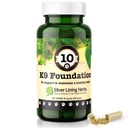 K9 Foundation Daily Supplement for Dogs - 90 Ct | Daily Supplement for Dogs, Milk Thistle, Echinacea & Flax, Liver, Kidney, Digestion & Immune Support, 90 ct, Made in USA