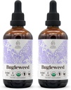 Bugleweed USDA Organic Alcohol-Free Extract | Dietary Supplement, High-Potency Tincture, Respiratory System | Natural Certified Organic Bugleweed (Ze LAN, Lycopus Virginicus) Dried Herb 2x4 oz