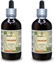 Cistanche (Cistanche Deserticola) Dried Herb Liquid Extract (Brand Name: HerbalTerra, Proudly Made in USA) 2x4 oz