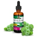 Nature's Answer Gotu-Kola Herb 2 OZ