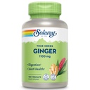 SOLARAY Ginger Root Capsules for Men & Women - Ginger Supplement for Digestive Health Support, 1100 mg per Serving, Motion & Stomach Discomfort Support, Vegan Herb, Sun Grown, Whole Root- 180 Veg Caps