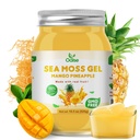 Sea Moss Gel - 18.5OZ Mango Pineapple Flavor Sea Moss Gel Raw Nutritious Rich in 102 Vitamins and Minerals, Proteins & Vitamins, Vegan-Friendly