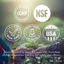 ML Naturals Mushrooms Complex 120 Vegetable Capsules. 6 Essential Mushrooms: Organic Reishi, Lion's Mane, Cordyceps, Healthy Immune Support, NSF-Certified & cGMP-Compliant.