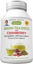 ANDREW LESSMAN Green Tea EGCG & Cranberry 180 Capsules - Standardized for Catechins and Polyphenols. Helps Protect Tissues, Organs and Systems Throughout The Body. Powerful Anti-oxidant Support